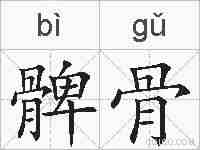 髀骨的拼音