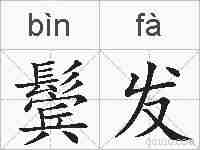 鬓发的拼音