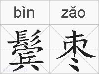 鬓枣的拼音