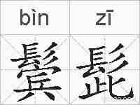 鬓髭的拼音