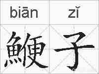 鯾子的拼音