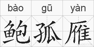 鲍孤雁的拼音