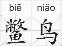 鳖鸟的拼音