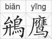 鴘鹰的拼音