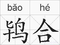 鸨合的拼音
