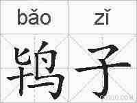 鸨子的拼音
