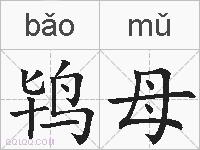 鸨母的拼音