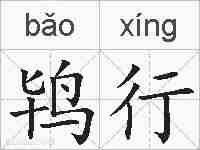 鸨行的拼音