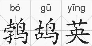 鹁鸪英的拼音