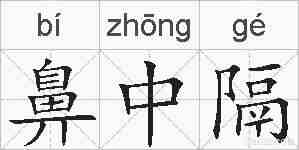 鼻中隔的拼音