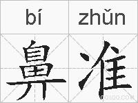鼻准的拼音