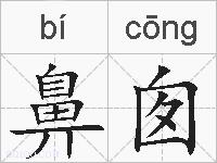 鼻囱的拼音