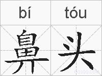 鼻头的拼音