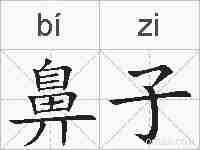 鼻子的拼音