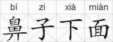 鼻子下面的拼音
