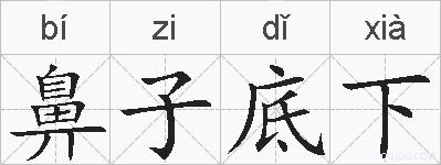 鼻子底下的拼音