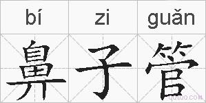 鼻子管的拼音