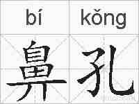 鼻孔的拼音