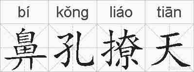 鼻孔撩天的拼音
