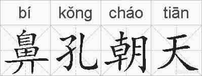 鼻孔朝天的拼音