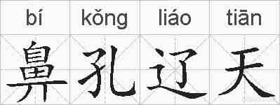 鼻孔辽天的拼音