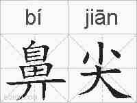 鼻尖的拼音