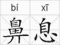 鼻息的拼音