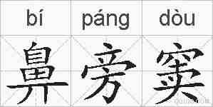 鼻旁窦的拼音