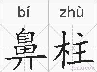 鼻柱的拼音