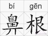 鼻根的拼音