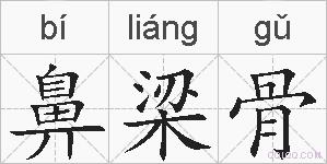 鼻梁骨的拼音