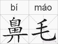 鼻毛的拼音