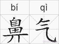 鼻气的拼音