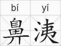 鼻洟的拼音
