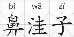 鼻洼子的拼音