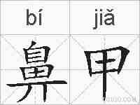 鼻甲的拼音