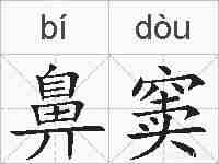 鼻窦的拼音