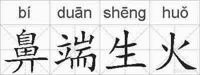 鼻端生火的拼音