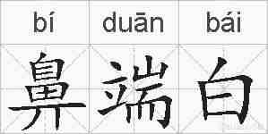 鼻端白的拼音