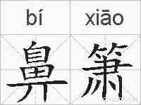 鼻箫的拼音
