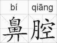鼻腔的拼音