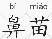 鼻苗的拼音