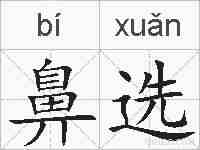 鼻选的拼音