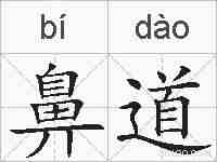 鼻道的拼音