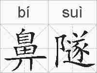 鼻隧的拼音