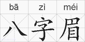 八字眉的拼音