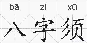 八字须的拼音