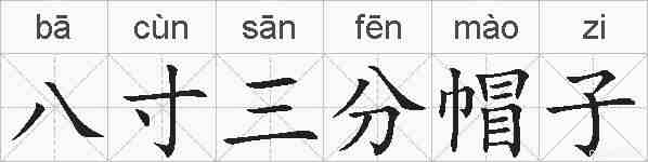 八寸三分帽子的拼音