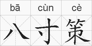 八寸策的拼音