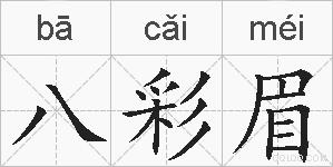 八彩眉的拼音